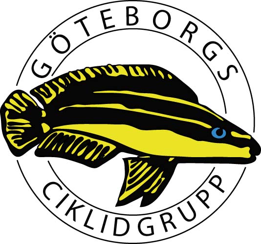 Göteborgs Ciklidgrupp